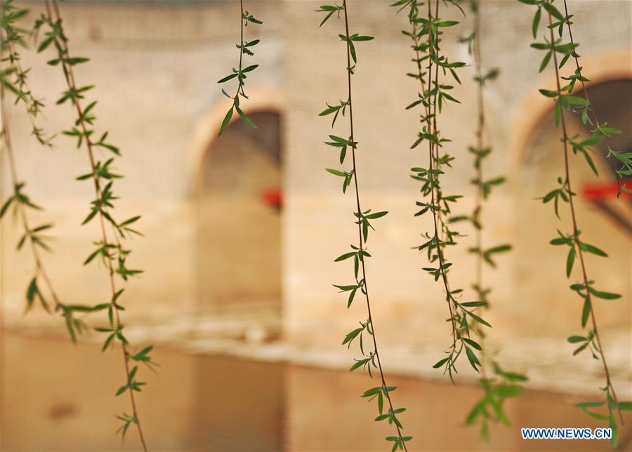 CHINA-LIAONING-SUIZHONG-GREAT WALL-SCENERY (CN)