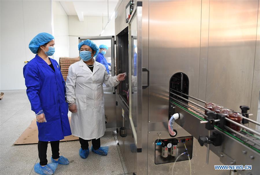 CHINA-JIANGXI-FENGXIN-RURAL ENTREPRENEURSHIP STORY