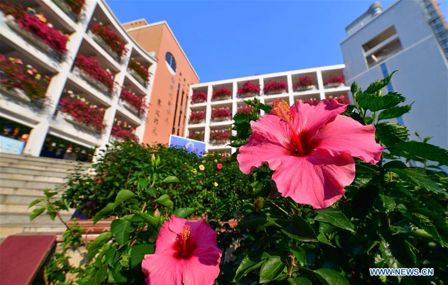 CHINA-NANNING-CAMPUS (CN)