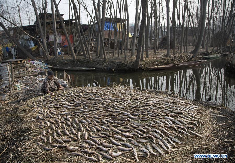 INDIA-KASHMIR-SRINAGAR-SMOKED FISH