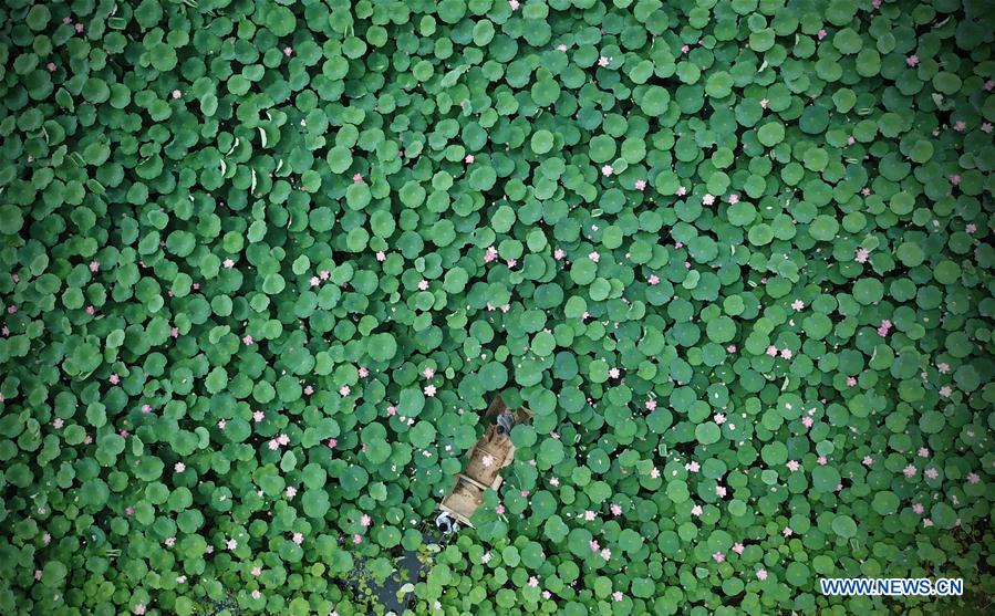 (年終報(bào)道)(30)2018年看大美中國