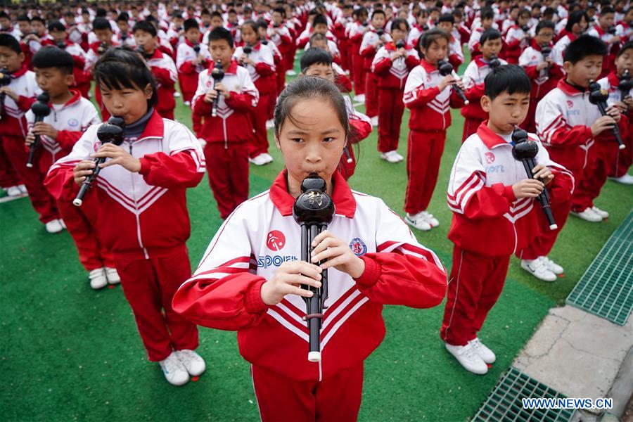 CHINA-JIANGSU-MUSICAL INSTRUMENT (CN)