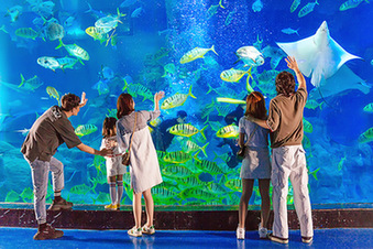 【&ldquo;疫&rdquo;后花開 邁向詩(shī)和遠(yuǎn)方】暢游威海華夏城 神游海洋世界