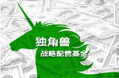 &ldquo;獨(dú)角獸基金&rdquo;帶給A股市場(chǎng)三大懸念