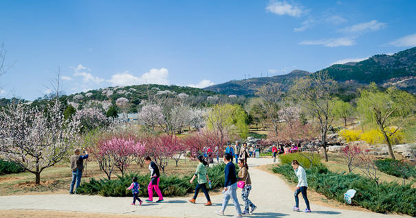 美到無法呼吸！&ldquo;西山晴雪&rdquo;攝影大賽來了