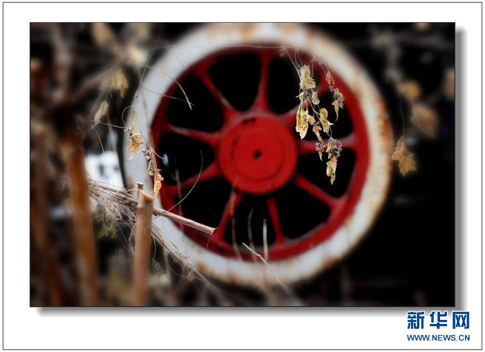 《遺世流年抹滄?！?>	</a></div>
</div>
<div   id=