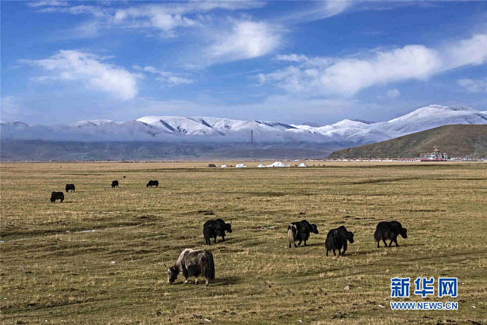 行駕山河 邂逅美麗