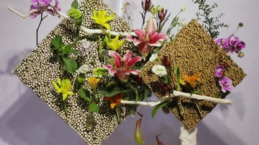 如此動(dòng)人，和百合來場(chǎng)約會(huì)吧！