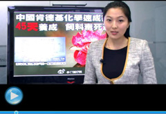 權(quán)威聲音：&ldquo;快時代&rdquo;究竟還有什么可以速成？