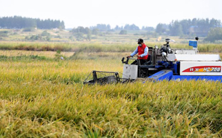 40年，小崗人的18個(gè)&ldquo;第一次&rdquo;