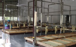 新春走基層丨機(jī)關(guān)青年如何變身&ldquo;草帽書記&rdquo;