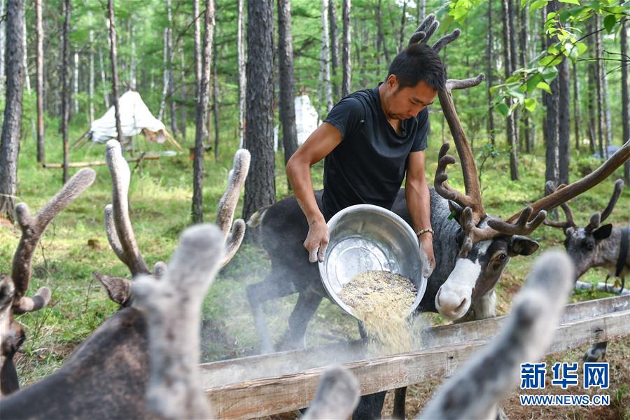 【聚焦脫貧攻堅】這組數(shù)字，來之不易