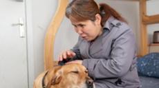 &ldquo;有你在身旁，真好&rdquo;