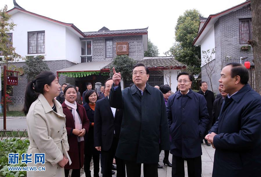 這是11月22日，張德江來到成都郫縣青杠樹村，了解村民委員會(huì)工作情況。 新華社記者 劉衛(wèi)兵 攝 