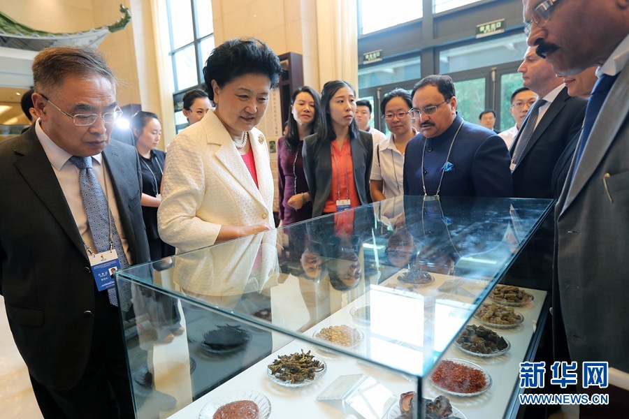 7月6日，金磚國家衛(wèi)生部長會暨傳統(tǒng)醫(yī)藥高級別會議在天津開幕。這是國務院副總理劉延東與外賓一起參觀傳統(tǒng)醫(yī)藥文化展。 新華社記者 張玉薇 攝