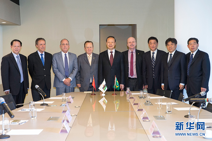 7月11日，在巴西首都巴西利亞，中共中央書記處書記、全國政協(xié)副主席杜青林（中）會(huì)見巴西民主運(yùn)動(dòng)黨總書記毛羅&middot;洛佩斯（左四）。新華社記者李明攝