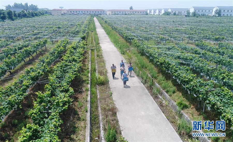 （新華全媒頭條&middot;紀(jì)念改革開放40年特稿&middot;圖文互動）（5）向著新航程揚(yáng)帆奮進(jìn)！&mdash;&mdash;從小崗精神看中國改革開放40年