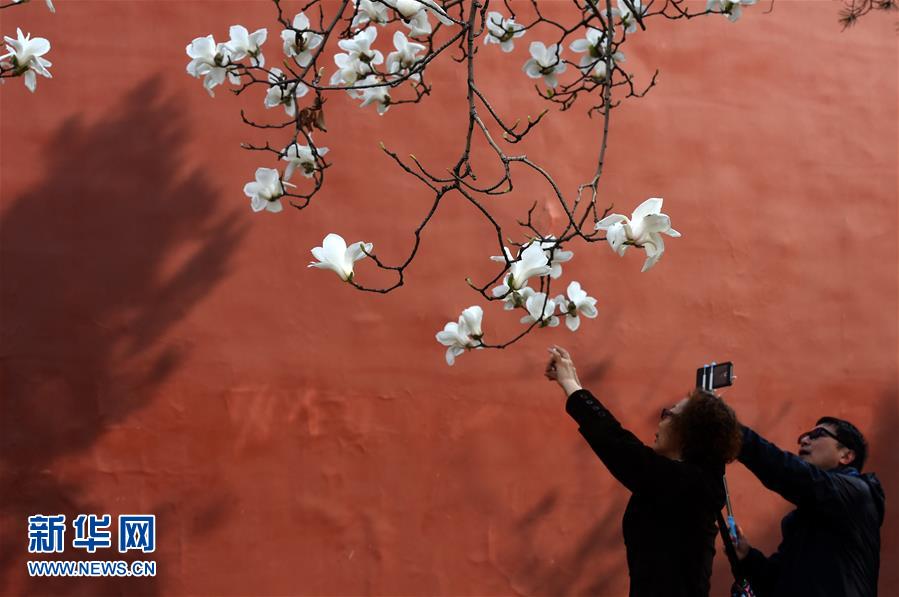 （在習(xí)近平新時代中國特色社會主義思想指引下&mdash;&mdash;新時代新氣象新作為&middot;新華全媒頭條&middot;圖文互動）（1）最濃是這中國紅&mdash;&mdash;北京市西城區(qū)弘揚紅墻意識深化改革發(fā)展紀實