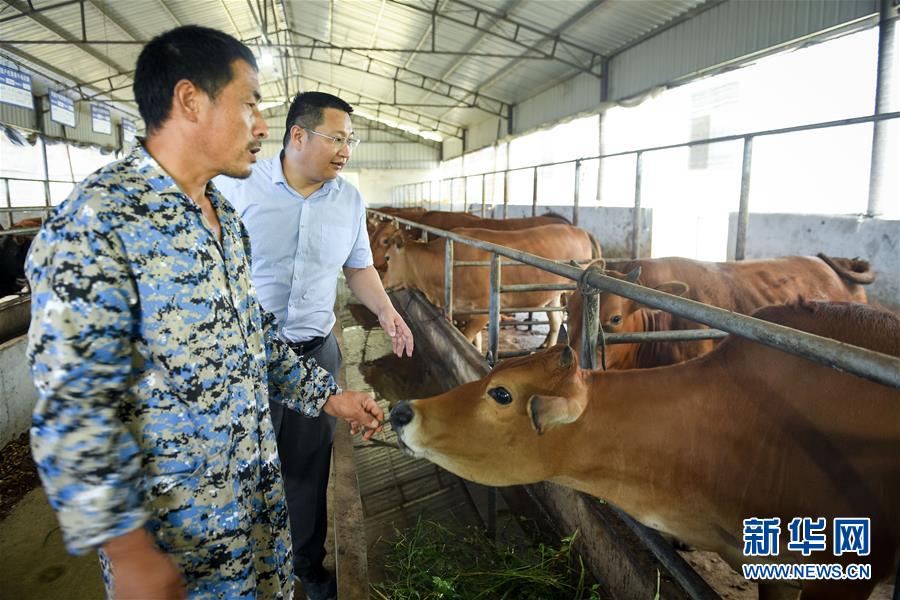 （脫貧攻堅&middot;圖文互動）（2）&ldquo;不畏難、不畏煩、不畏苦&rdquo;&mdash;&mdash;記&ldquo;80后&rdquo;扶貧干部李朝陽
