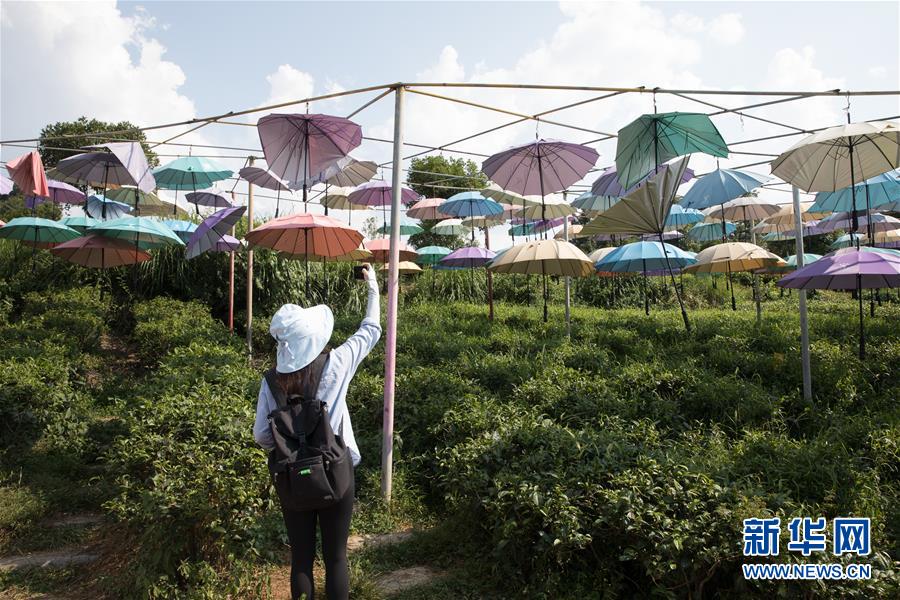 （大江奔流&mdash;&mdash;來(lái)自長(zhǎng)江經(jīng)濟(jì)帶的報(bào)道&middot;圖文互動(dòng)）（4）在這里，做一個(gè)幸福的農(nóng)民