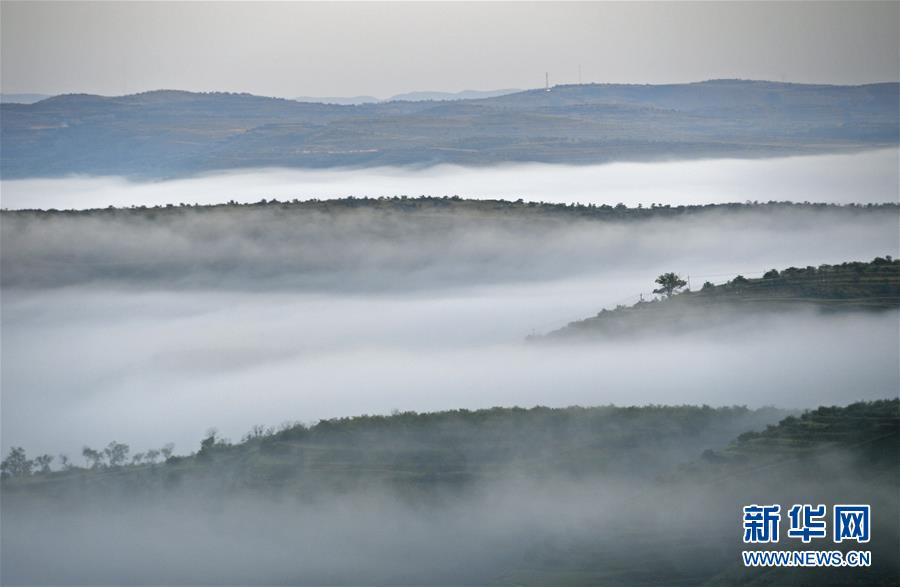 （新華全媒頭條&middot;圖文互動(dòng)）（12）中國(guó)扶貧的西海固答卷&mdash;&mdash;寧夏奮進(jìn)60年巡禮之脫貧攻堅(jiān)篇