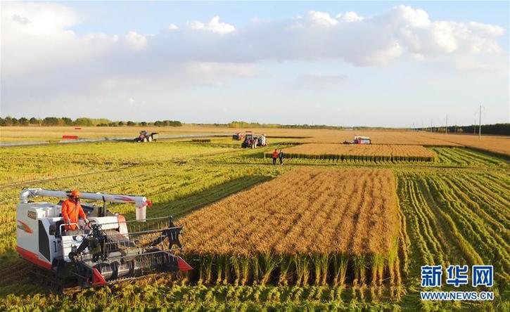 (在習(xí)近平新時代中國特色社會主義思想指引下——新時代新作為新篇章·圖文互動)(2)“北大倉”加速“市場化之變”