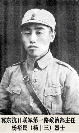 （為了民族復(fù)興&middot;英雄烈士譜&middot;圖文互動(dòng)）抗日愛(ài)國(guó)知識(shí)分子的典范&mdash;&mdash;楊裕民