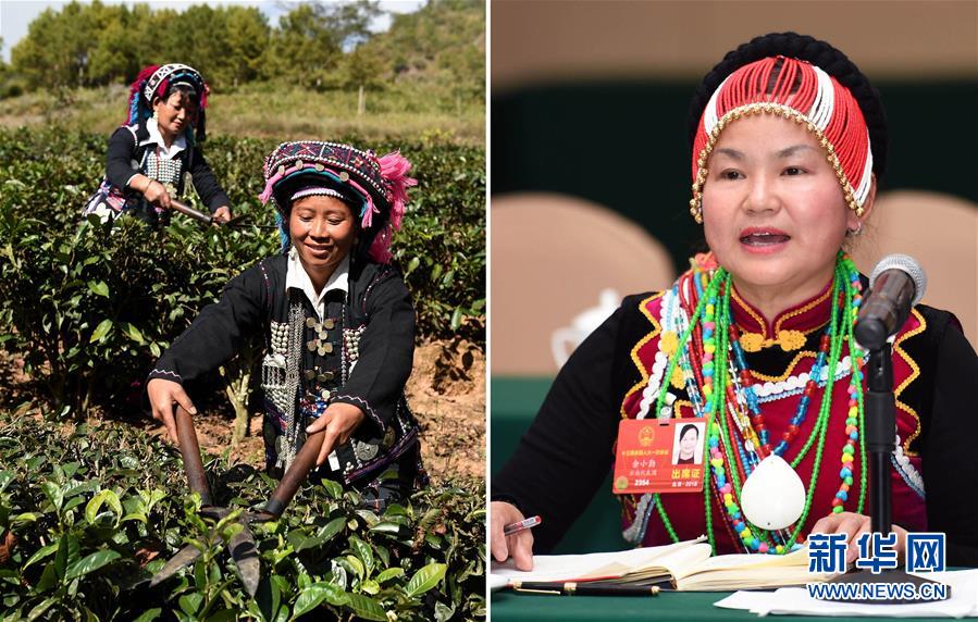 （兩會(huì)&middot;影像鏈接）全國人大代表余小勤：在國家?guī)头鲋С窒?少數(shù)民族群眾一定能夠勤勞致富