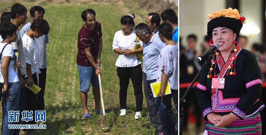 （兩會(huì)&middot;影像鏈接）全國政協(xié)委員張敏：培養(yǎng)新型農(nóng)民 助力脫貧攻堅(jiān)