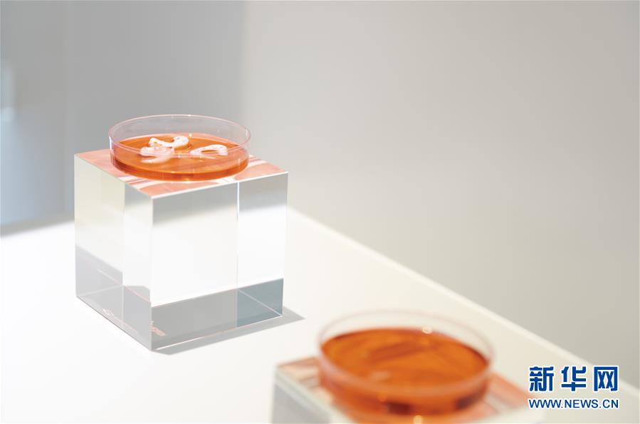 （兩會(huì)前夕看落實(shí)&middot;圖文互動(dòng)）（4）&ldquo;三個(gè)第一&rdquo;催奮進(jìn) 珠江潮起再出發(fā)&mdash;&mdash;廣東落實(shí)習(xí)近平總書(shū)記全國(guó)兩會(huì)重要講話(huà)精神紀(jì)實(shí)