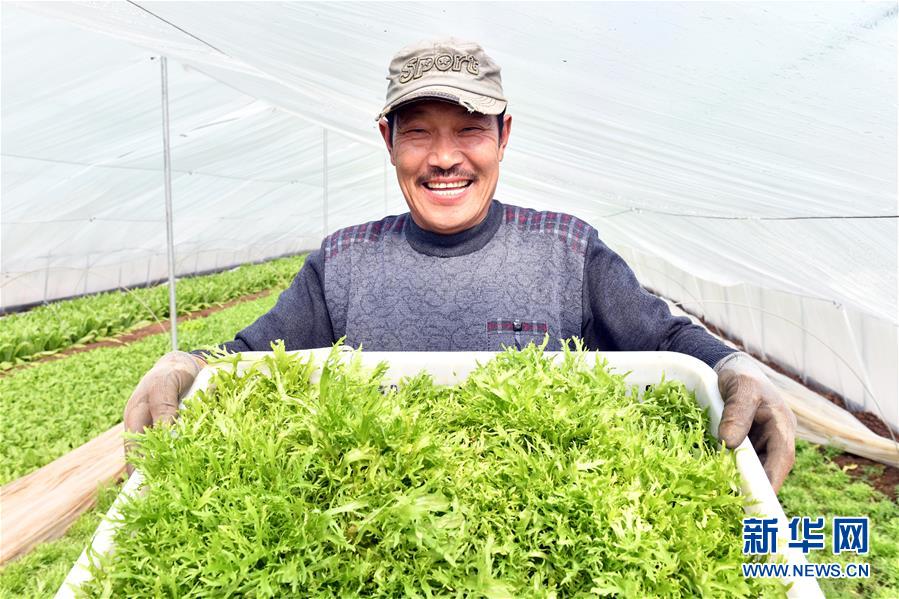 (兩會(huì)前夕看落實(shí)·圖文互動(dòng))(3)融合“三生三美” 打造鄉(xiāng)村振興齊魯樣板——山東落實(shí)習(xí)近平總書記全國兩會(huì)重要講話精神紀(jì)實(shí)