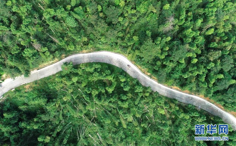 （中國網(wǎng)事&middot;感動2019&middot;圖文互動）（7）鄉(xiāng)村教師高自仁：60多根拐杖，撐起42年教學(xué)路