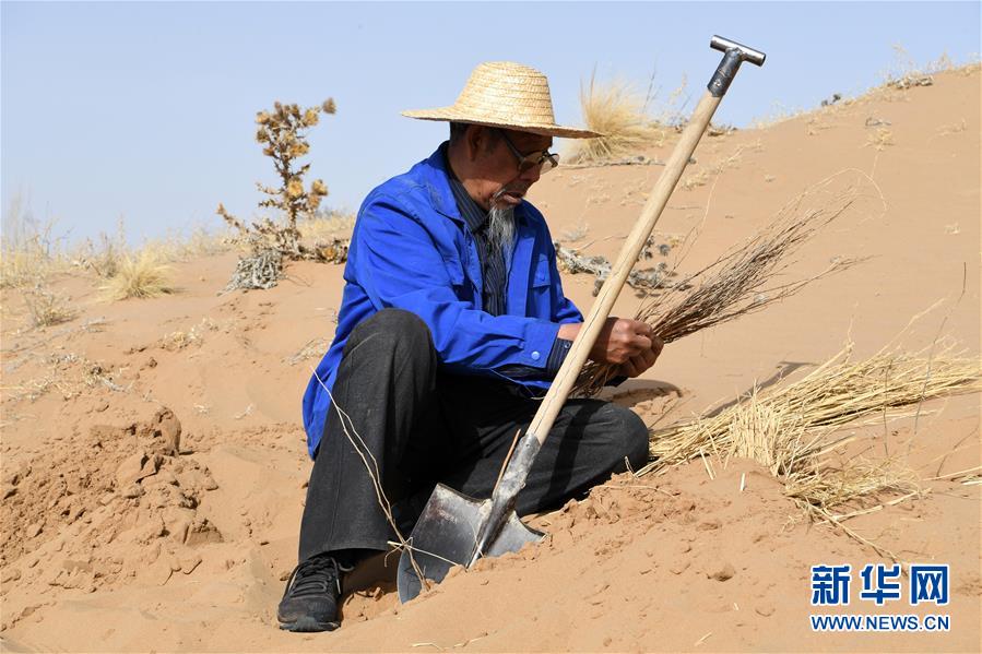 （新華全媒頭條&middot;圖文互動(dòng)）（11）八步沙&middot;六老漢&middot;三代人