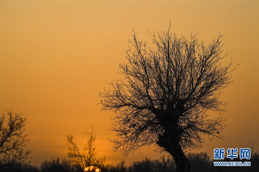 （新華全媒頭條&middot;圖文互動(dòng)）（2）一步千年，&ldquo;最后的沙漠部落&rdquo;遷入新家園