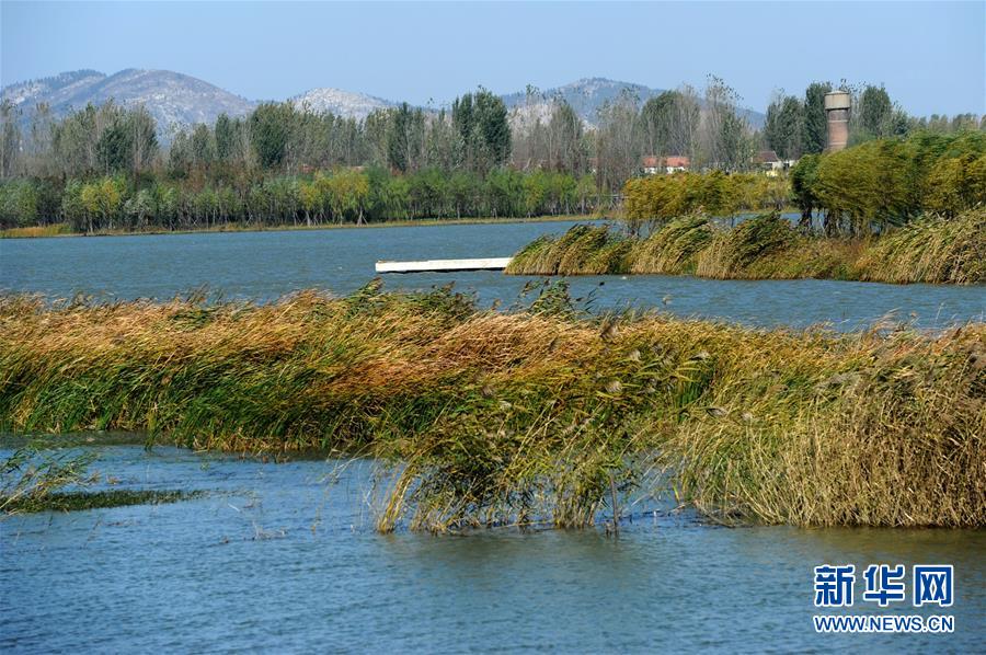 （新華全媒頭條&middot;圖文互動(dòng)）（13）城市重生的徐州邏輯&mdash;&mdash;資源枯竭城市的轉(zhuǎn)型之道