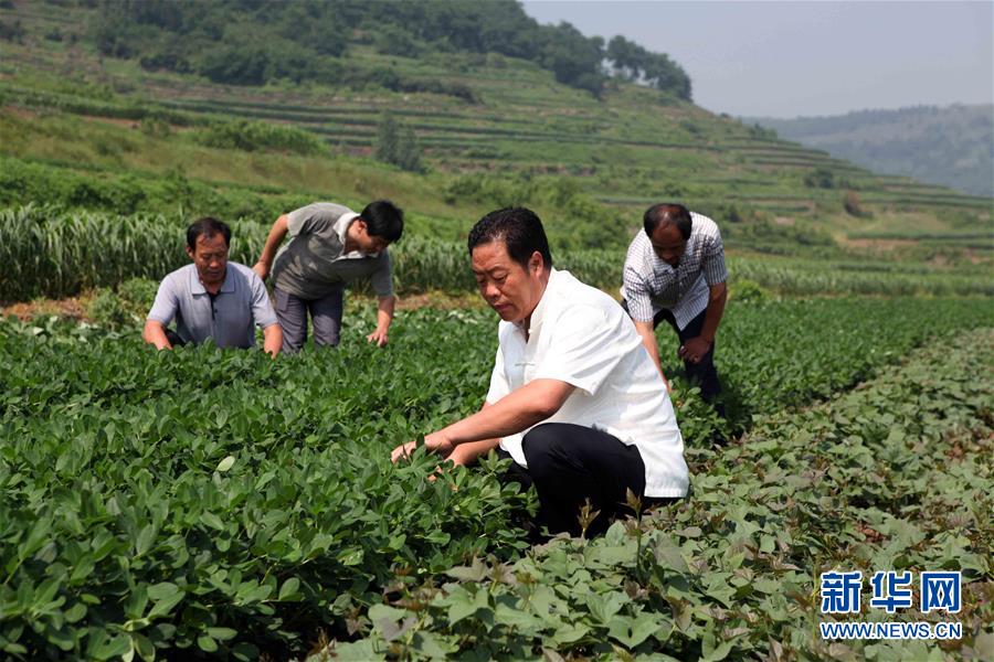 （新華全媒頭條&middot;圖文互動(dòng)）（1）讓奮斗成為人生最亮麗的底色&mdash;&mdash;寫在2019年&ldquo;五一&rdquo;國(guó)際勞動(dòng)節(jié)到來(lái)之際