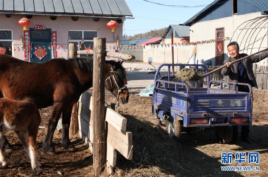 （在習(xí)近平新時代中國特色社會主義思想指引下&mdash;&mdash;新時代新作為新篇章&middot;圖文互動）（1）&ldquo;最北村莊&rdquo;的&ldquo;找北&rdquo;振興路