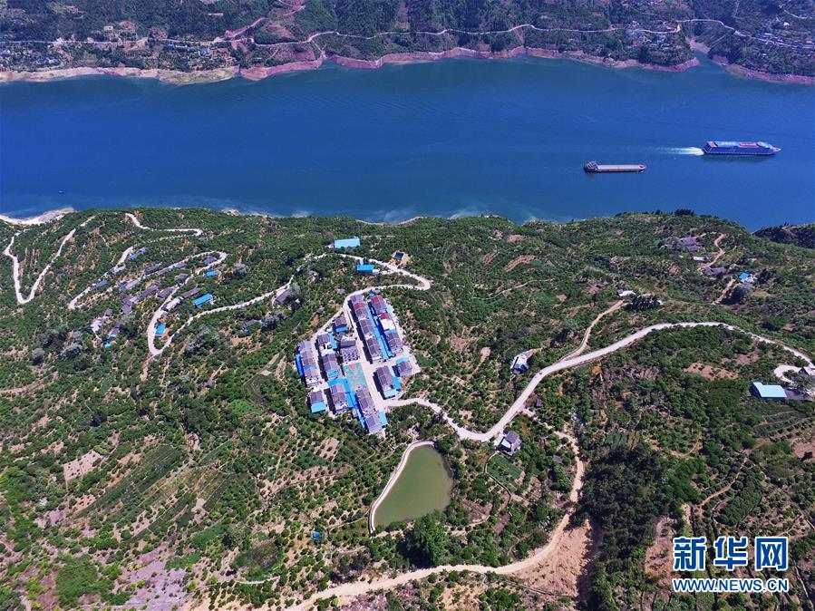 （在習(xí)近平新時(shí)代中國特色社會(huì)主義思想指引下&mdash;&mdash;新時(shí)代新作為新篇章）（2）重慶巫山：&ldquo;生態(tài)寶貝&rdquo;變身&ldquo;搖錢樹&rdquo;