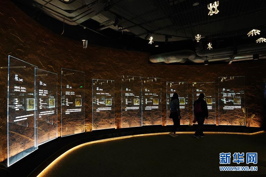 （在習(xí)近平新時(shí)代中國(guó)特色社會(huì)主義思想指引下&mdash;&mdash;新時(shí)代新作為新篇章&middot;圖文互動(dòng)）（4）從世園會(huì)&ldquo;看&rdquo;中國(guó)綠色發(fā)展之路&mdash;&mdash;寫(xiě)在北京世園會(huì)&ldquo;中國(guó)國(guó)家館日&rdquo;到來(lái)之際