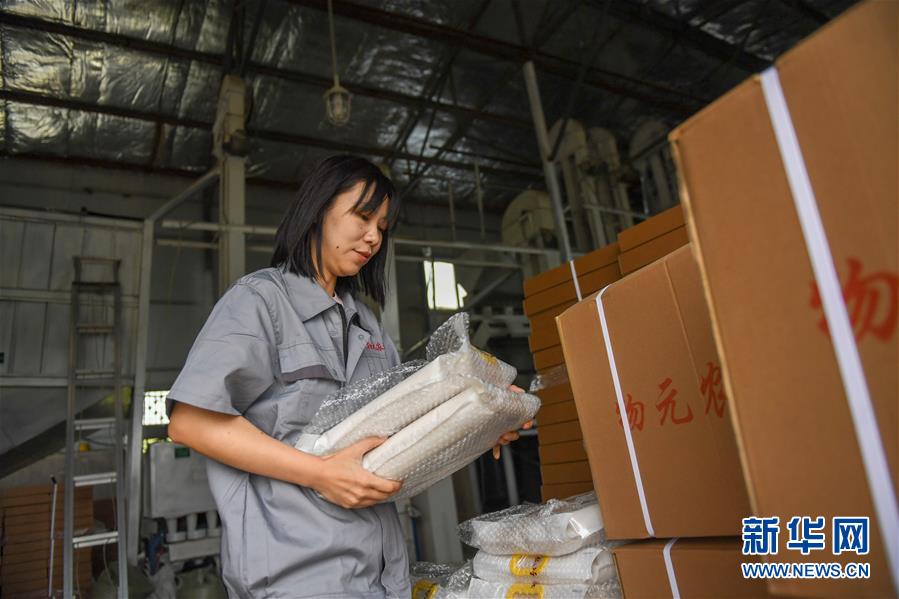 (在習近平新時代中國特色社會主義思想指引下——新時代新作為新篇章·圖文互動)(6)大學生種田讓農民“老把式”開了眼——吉林長白山下的稻田新事