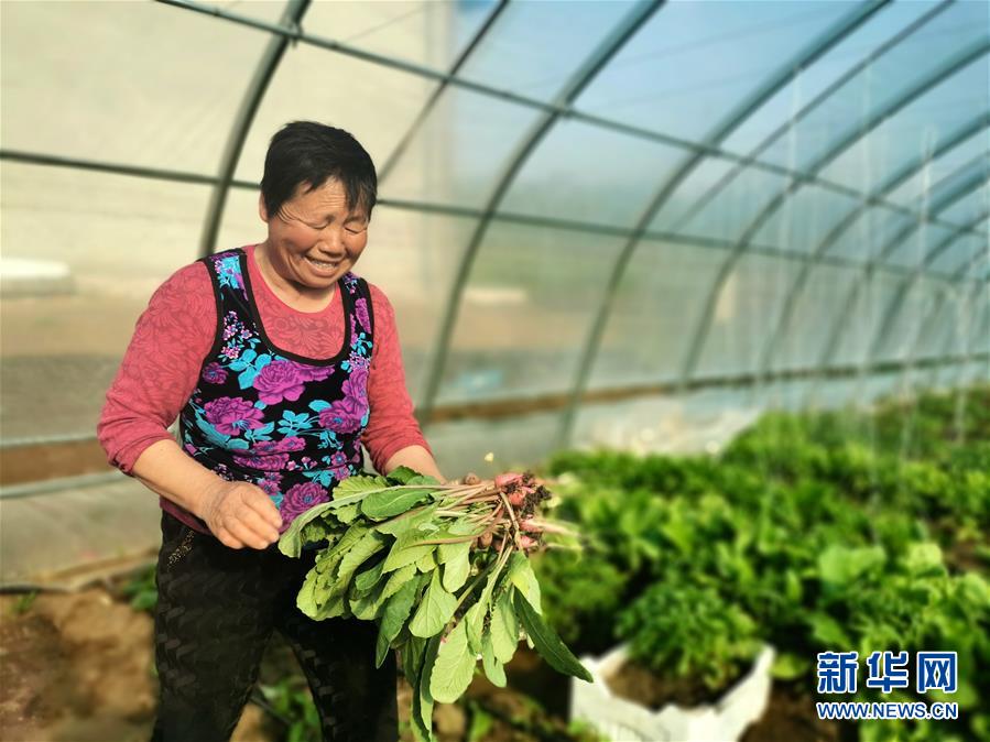 （圖文互動）（3）（在習近平新時代中國特色社會主義思想指引下&mdash;&mdash;新時代新作為新篇章）&ldquo;團結&rdquo;振興團結村&mdash;&mdash;黑龍江拜泉縣團結村凝聚民心攻堅脫貧