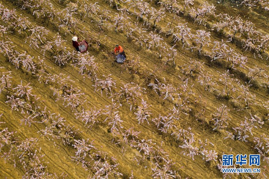 （在習(xí)近平新時(shí)代中國(guó)特色社會(huì)主義思想指引下&mdash;&mdash;新時(shí)代新作為新篇章&middot;圖文互動(dòng)）（3）中條山下綠意濃&mdash;&mdash;一個(gè)&ldquo;資源窮縣&rdquo;的生態(tài)發(fā)展之路