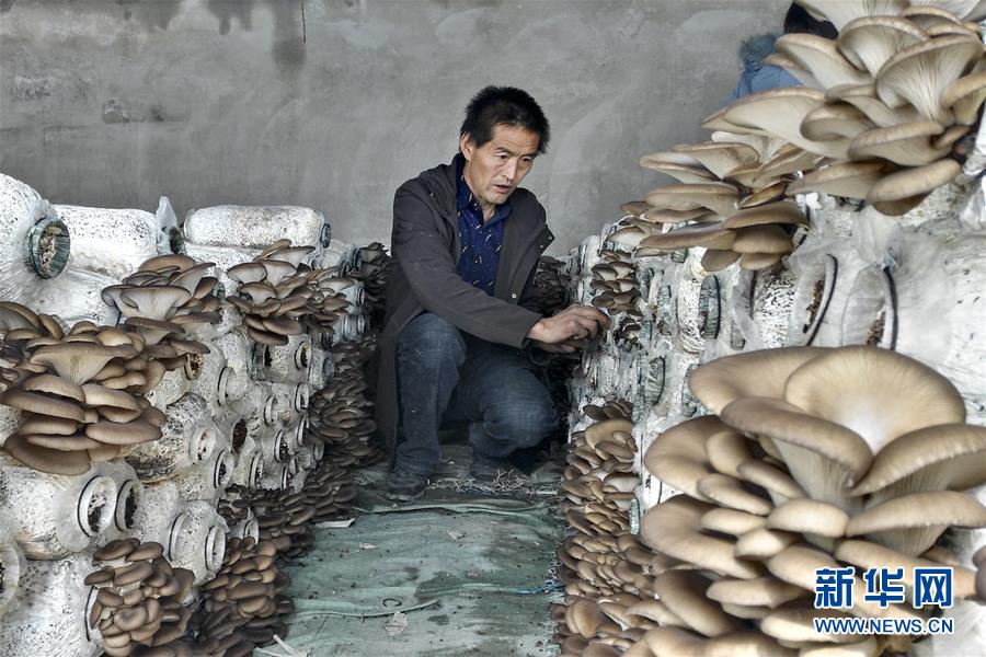 (脫貧攻堅(jiān)·圖文互動(dòng))(3)東達(dá)村脫貧記