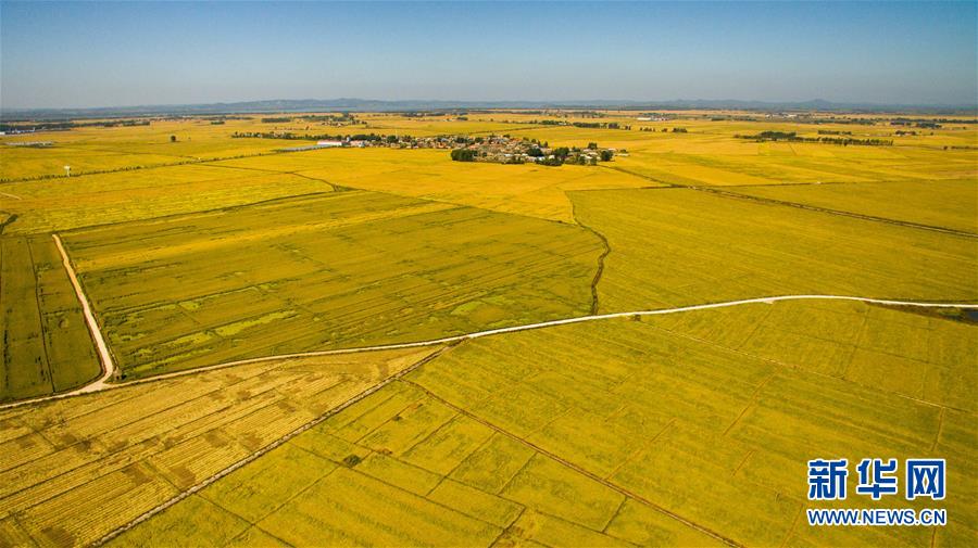 (在習(xí)近平新時(shí)代中國(guó)特色社會(huì)主義思想指引下——新時(shí)代新作為新篇章·圖文互動(dòng))(2)吉林萬(wàn)昌現(xiàn)代農(nóng)業(yè)發(fā)展先導(dǎo)區(qū)“三變”