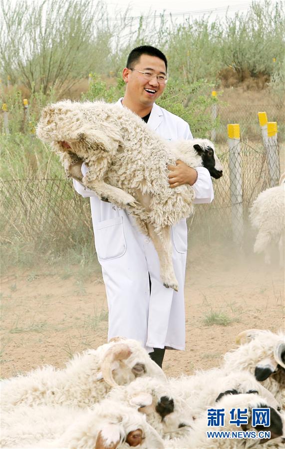 （壯麗70年&middot;奮斗新時代&mdash;&mdash;共和國發(fā)展成就巡禮&middot;圖文互動）（3）生態(tài)美、百姓富&mdash;&mdash;品讀嶄新&ldquo;寧夏畫卷&rdquo;