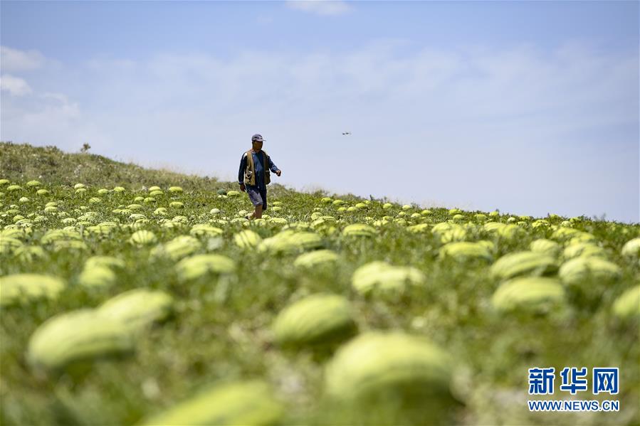 （壯麗70年&middot;奮斗新時代&mdash;&mdash;共和國發(fā)展成就巡禮&middot;圖文互動）（4）生態(tài)美、百姓富&mdash;&mdash;品讀嶄新&ldquo;寧夏畫卷&rdquo;