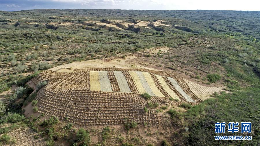 （壯麗70年&middot;奮斗新時代&mdash;&mdash;共和國發(fā)展成就巡禮&middot;圖文互動）（6）生態(tài)美、百姓富&mdash;&mdash;品讀嶄新&ldquo;寧夏畫卷&rdquo;
