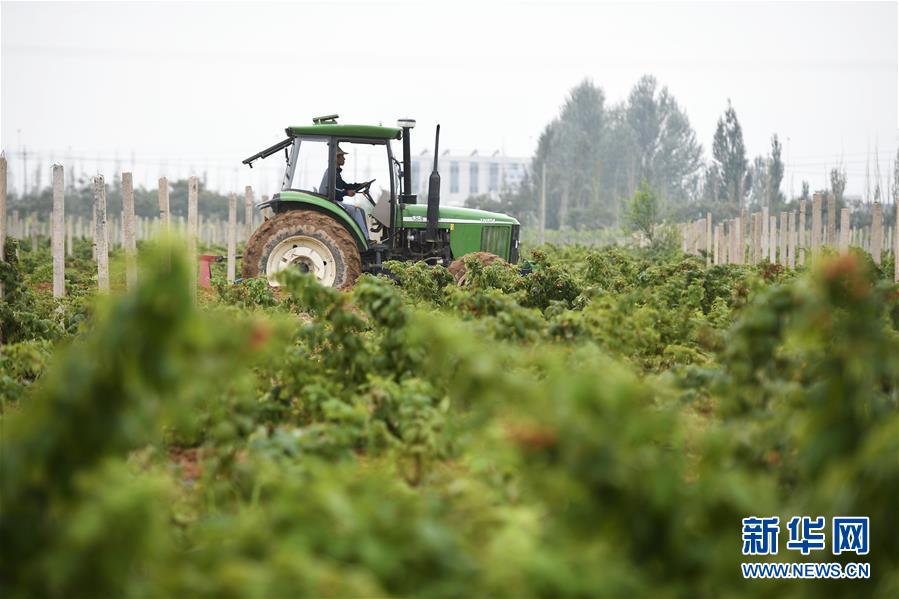 （壯麗70年&middot;奮斗新時代&mdash;&mdash;共和國發(fā)展成就巡禮&middot;圖文互動）（10）生態(tài)美、百姓富&mdash;&mdash;品讀嶄新&ldquo;寧夏畫卷&rdquo;