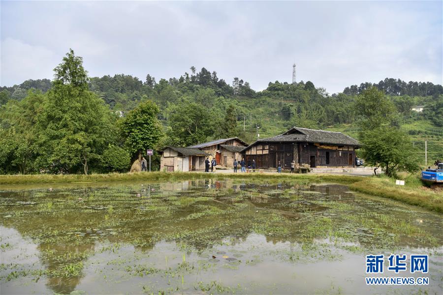 （來(lái)自一線的調(diào)查報(bào)告&middot;圖文互動(dòng)）（2）利益聯(lián)結(jié)強(qiáng)產(chǎn)業(yè)　打通城鄉(xiāng)促振興&mdash;&mdash;重慶涪陵大順鄉(xiāng)鄉(xiāng)村振興觀察