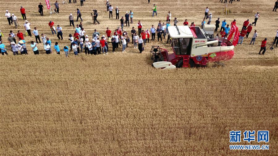 （壯麗70年&middot;奮斗新時(shí)代&mdash;&mdash;共和國發(fā)展成就巡禮）（3）看今朝齊風(fēng)魯韻　七十載芳華正勁&mdash;&mdash;新中國成立以來山東領(lǐng)先發(fā)展紀(jì)實(shí)